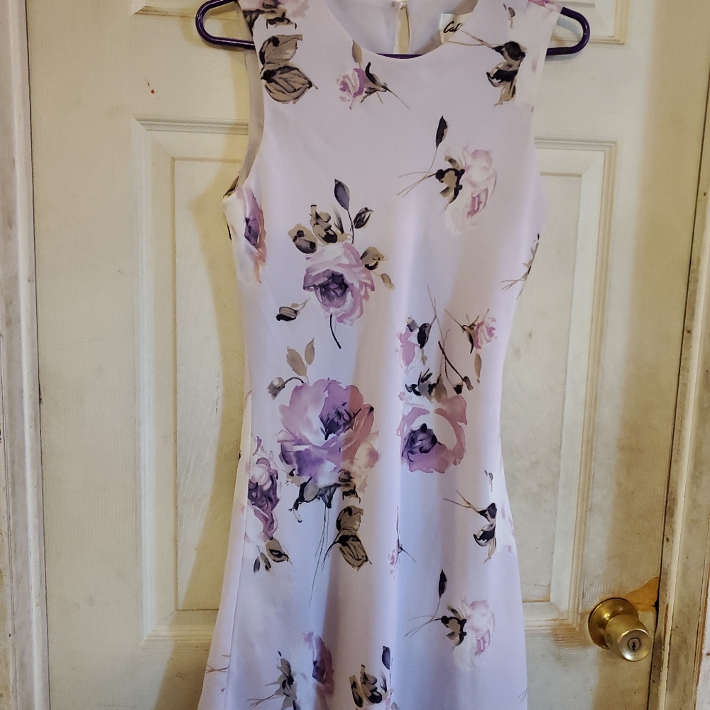 CALIFORNIA GOLD RUSH DRESS. MEDIUM. ROUNDNECK. MULTICOLOR.